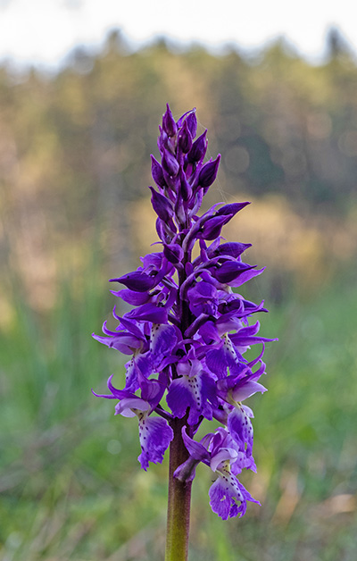 019