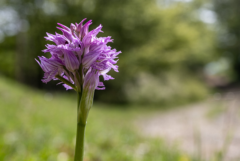 053